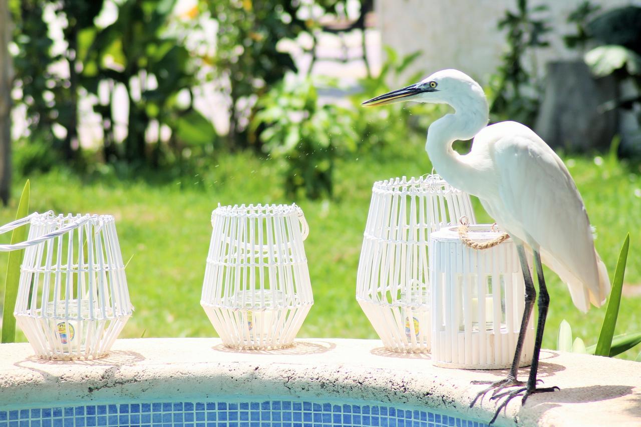 Maya Hotel Residence Isla Holbox Buitenkant foto